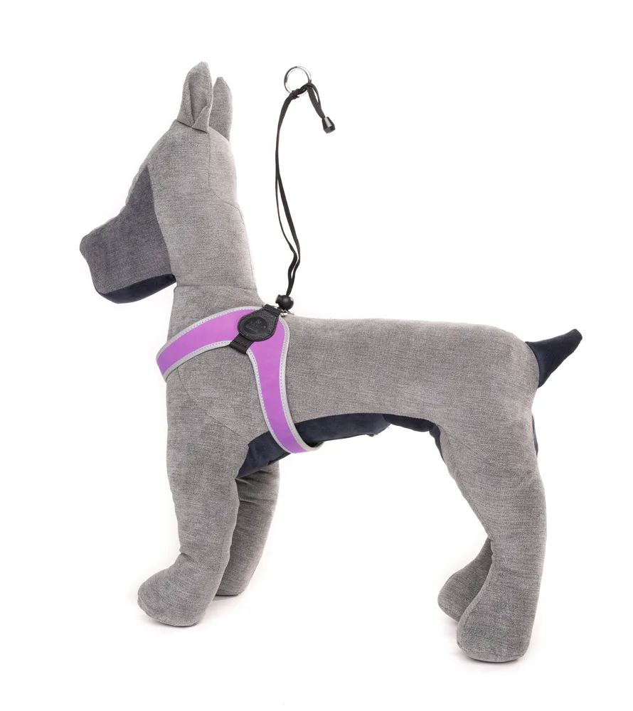 ZOE EASY GLICINE CANE